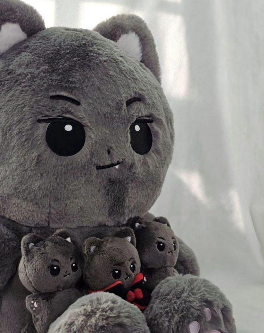 

[USED] ENHYPEN Jay 40cm Doll Master Rare