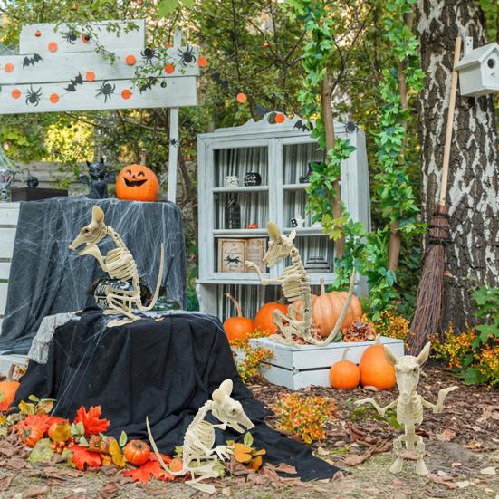 Halloween Rat Skeleton Realistic Plastic Mouse Skeletons Ornaments with Posable Joints Spooky Skeleton Props