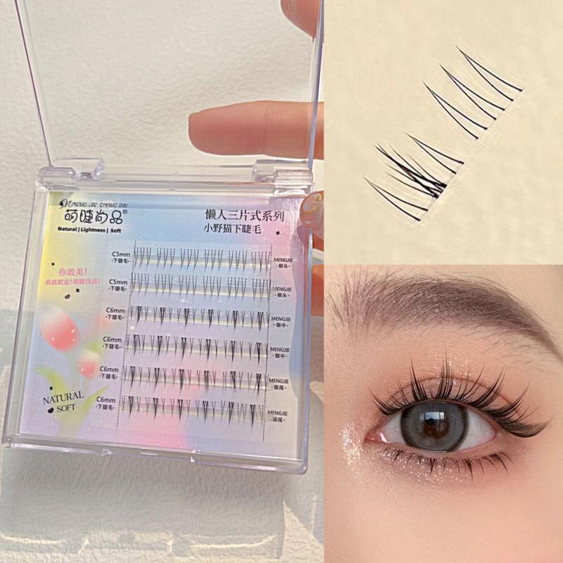 

Накладные ресницы, один кластер, наращивание ресниц, сегментированные ресницы, эффект лисьих глаз, отдельные накладные ресницы