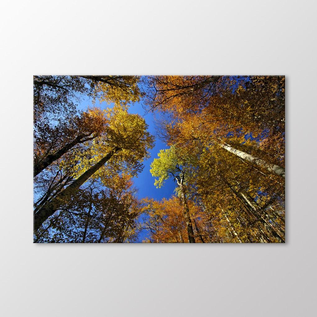 

Стол Yedigöller