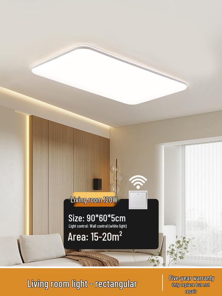 2025 Modern Ceiling Light for Living Room, Bedroom, or Balcony