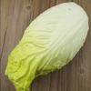 Artificial Chinese Cabbage Realistic Chinese Cabbage Vegetable Kitchen Decoration for Home Party Decoration