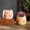 Ceramic Animal Plant Pot Cute Kitty Flowerpot with Drainage Hole Decorative Sheep Pig Planter for Succulents Home Room Office Desk Decor