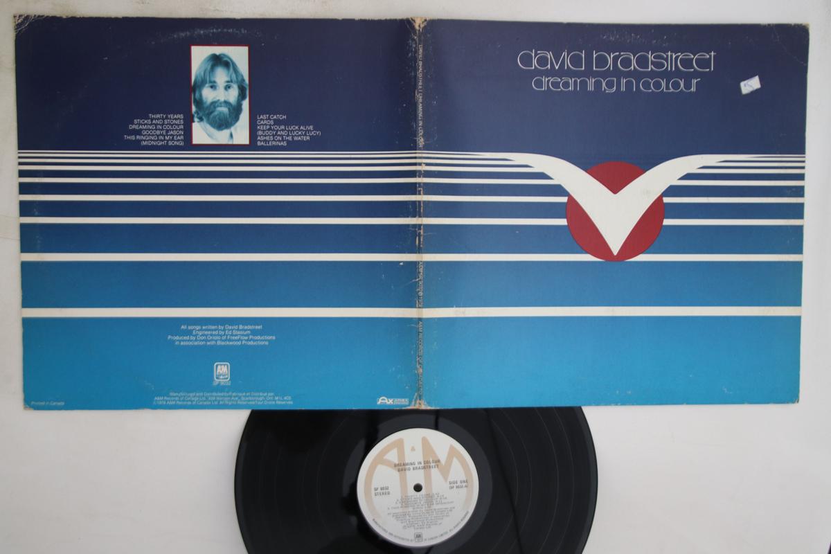 

LP Record DAVID BRADSTREET - Dreaming In Colour SP9032 A&M 1978 Canada Rock Used