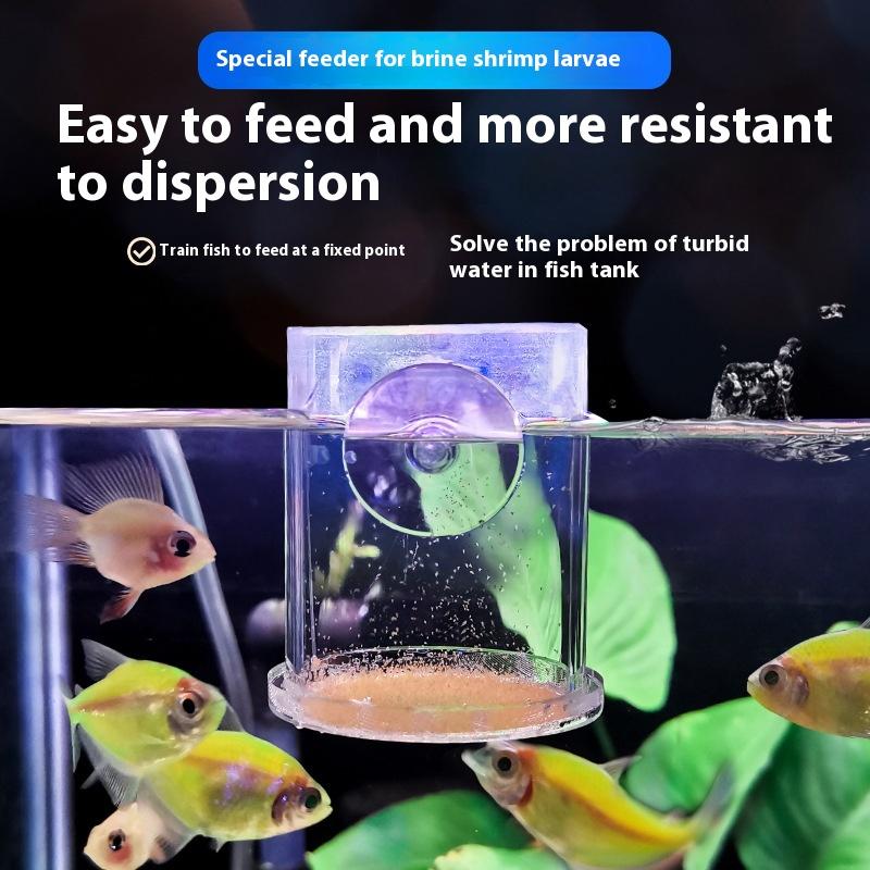 Reusable Transparent Acrylic Fish Feeder With Strong Suction Cups Floating Aquarium Feeding Ring Automatic Aquarium Feeding Tool