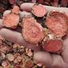 Natural Rhodiola Rosea Root Herbal Tea, High Grade Whole Pieces