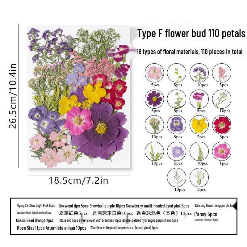 DIY Dried Flower Specimen Sticker Set for Kids: Handmade Pressed Flower Frames & Resin Bookmark Craft Kit