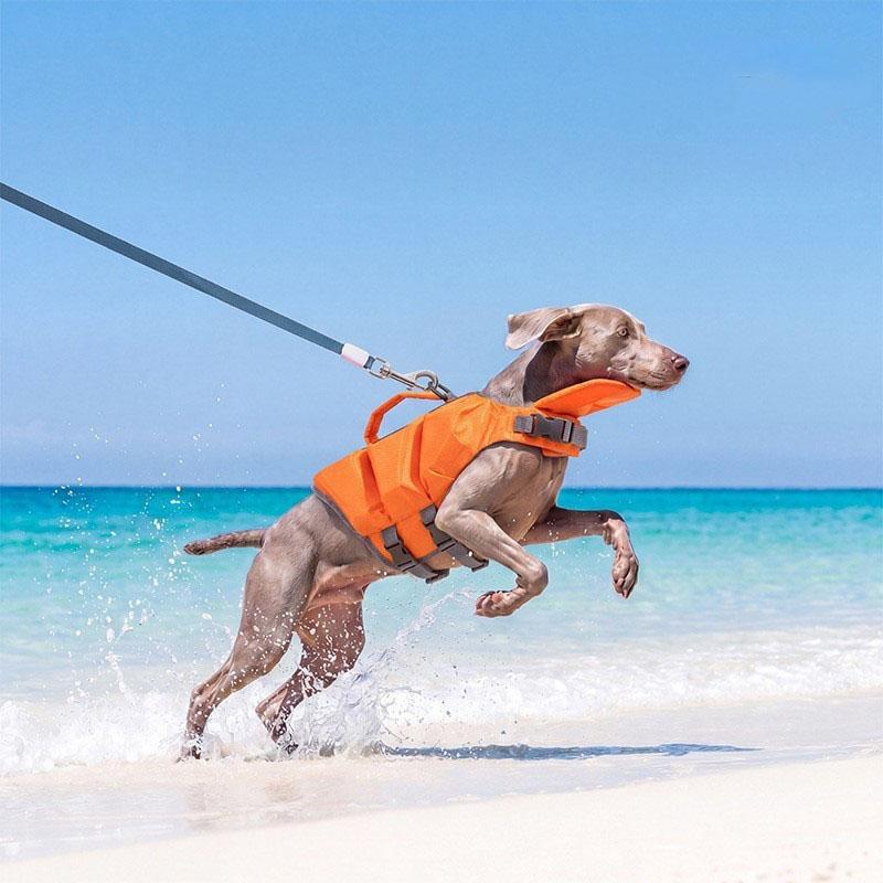 Chaleco Salvavidas de Verano para Perro/Gato Chaleco Flotador de EPE Portátil Super Grande Traje de Baño Flotador Ropa para Perros Pequeños y Medianos (as the picture,XL--17.5-27.5kg)