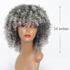 LISI HAIR 14inches Afro Kinky Curly Wig Synthetic Wig With Bangs Mixed Gray Brown and Blonde  Wig for Black Women Daily Wig