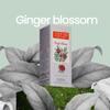 ESTER Car Luxury Perfume - Ginger Blossom