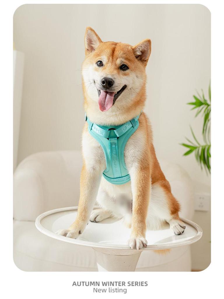 Adjustable Vest-Style Anti-Pull Dog Harness & Leash for Medium To Large Dogs
