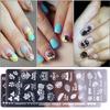 Nail Stamping Plates Set Silicone Sponge Brush Polish Transfer Stencils Flower Butterfly Geometry Template Nail Tool