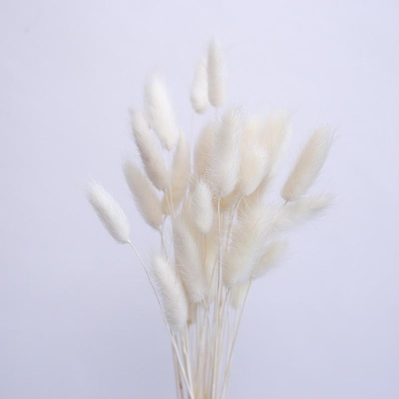 

Кроличий хвост, трава, настоящие цветы, натуральная пампасная трава, букет из сухих цветов, свадебные украшения, пасхальный декор, домашний декор