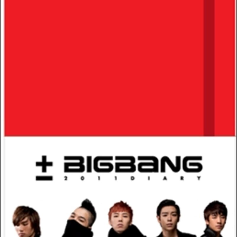 

Big Bang 2011 Official Diary