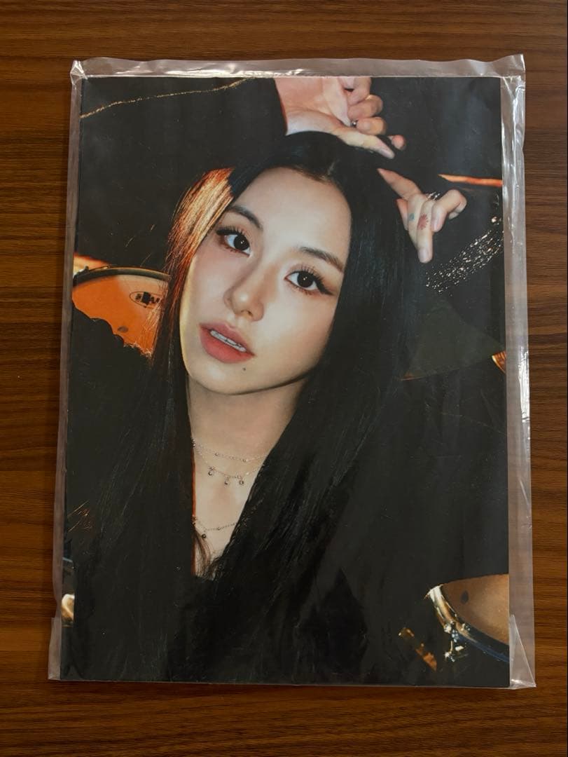 

[USED] TWICE Chaeyoung ENEMY Panel Not for Sale