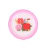 5Pcs Dollhouse Miniature Supplies Chinese Double Happiness Food Plate Miniatures Kitchen Accessory