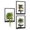Multifunctional Metal Plant Wall Frame Stylish Wall Mounted Succulent  Hanger  For Home Decor