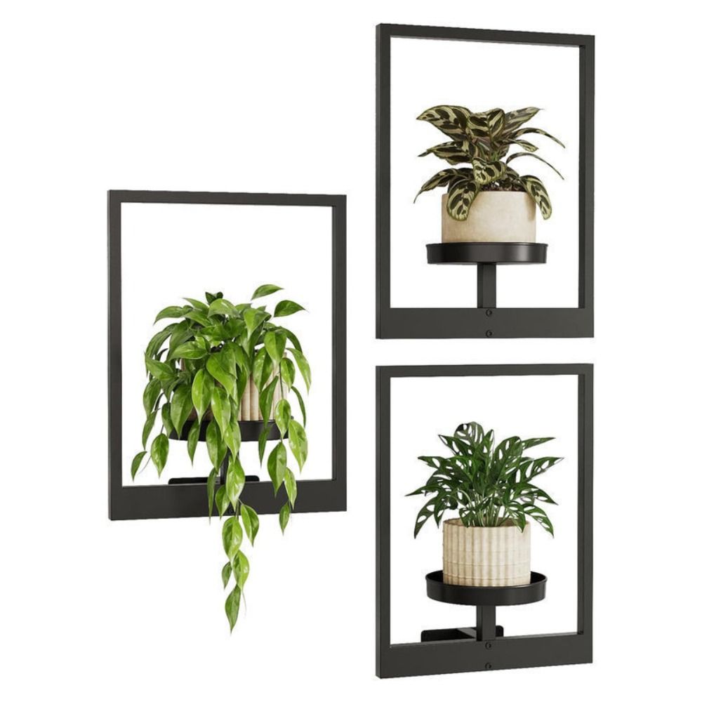 Multifunctional Metal Plant Wall Frame Stylish Wall Mounted Succulent  Hanger  For Home Decor