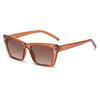 JYL TS Sunglasses UV Cat Eye Rivet Fashion Show/24004