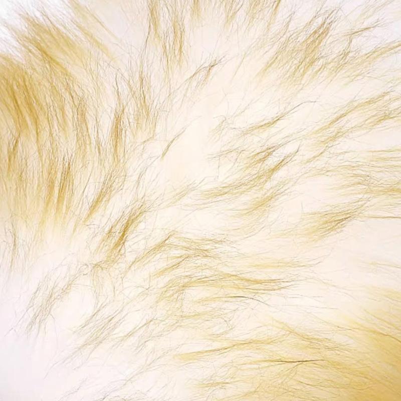 Effective Lambswool Brush for Dust and Stain Removal from Instruments