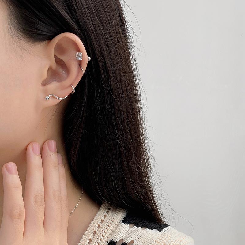 Individually Frigid Serpentine Earrings Light Luxury New Products for Men and Women Trendy Earrings