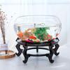 Creative Round Glass Fish Tank for Desktop, Office, or Living Room