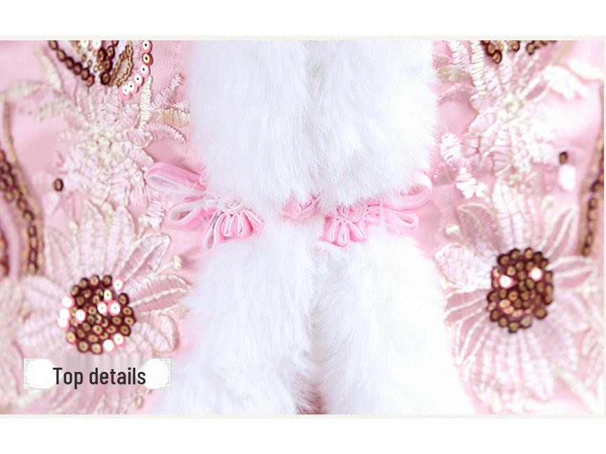 Winter 2025 Girls' Hanfu: New Year's Chinese Tang Suit & Skirt Set