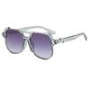 2025 Retro Double Bridge Sunglasses Large Frame PC Lenses UV400 Anti-UV Pilot Glasses for Men and Women