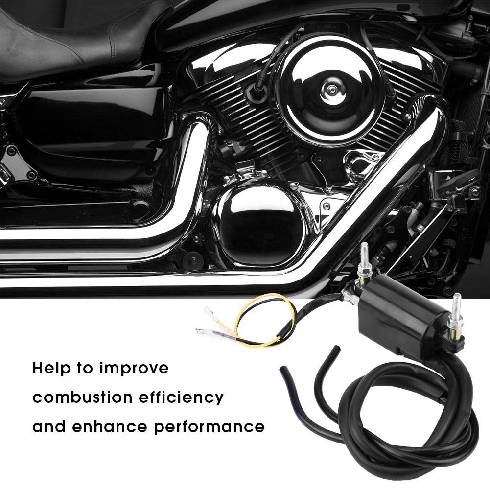 Ignition Coil Dual-Qiilu Plastic Ignition Coil Dual Wire Output Honda CB160 CB350 CB400 CB650 CB1000 KAWASAKI YFM350