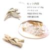 GOLD STONE white sage set pearl shell crystal chips wooden stand 4pcs beginner kit aroma incense california grown sage organic herb