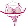 Sexy Lace Mesh Erotic Underwear Set Female Transparent Flower Embroidery Pure Desire Wind Bra Thong Two-piece Set