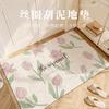 Xiaoqing Fresh Air Entry Silk Ring Floor Mat Non-Slip Door Mat Entry Silk Ring Floor Mat Entrance Entrance Door Rubbing Land Mat