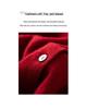 Women's 100% Pure Cashmere Color Block Round Neck Cardigan Sweater