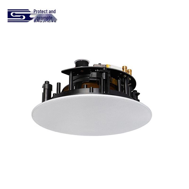 Baosheng Ceiling Speaker System with Integrated Amplifier (CN version)