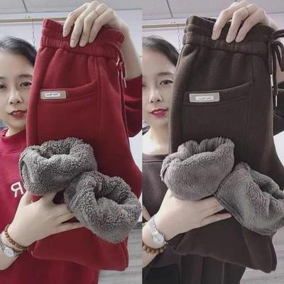 Women's Plush Thickened Harem Sweatpants - 2023 Autumn/Winter Korean Style, Loose & Slim-fit Casual Wear