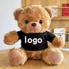 Teddy Bear Plush Toy with Cute Logo and School Emblem Design