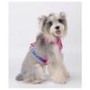 Lightweight Waterproof Quick Dry Reflective Multi Functional Dog Harness