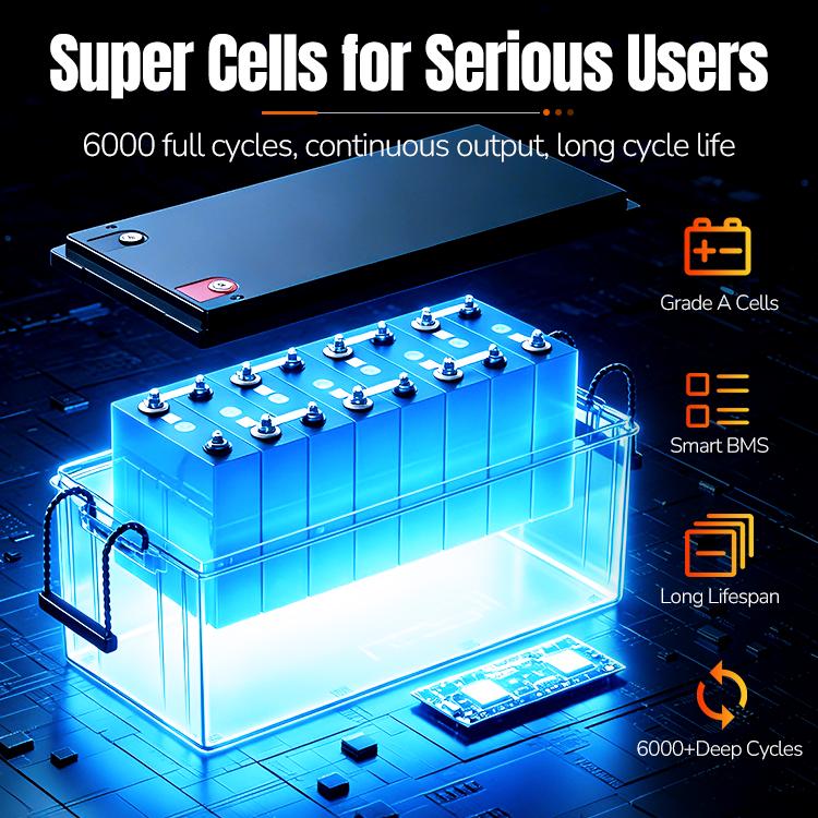 EU Socke 25,6V 100Ah LiFePO4 Batterie 2560Wh Deep Cycle 5000+ Zyklen 100A BMS für Solarenergiespeicherung Wohnmobil Boot