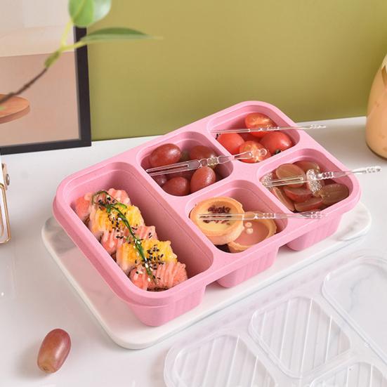 Lunch Box with Lid Five-Compartment Design Convenient Healthy Odorless Food Storage Containers for Snacks And Fruits