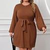 Plus Size Women High Waist Round Neck Puff Sleeve A Line Commute Dress