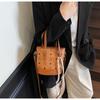 Cartoon Bear Print Portable Small Bag Female 2025 Spring Niche Design Oblique Span Bucket Bag