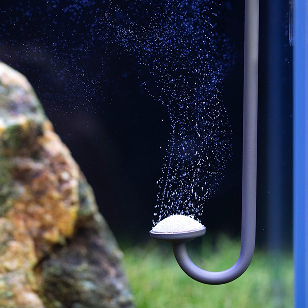 Externer Kohlendioxid-Refiner für Fischtank-Aquarien Effizientes Wasserfiltersystem CO2-Diffusionsfass-Regler