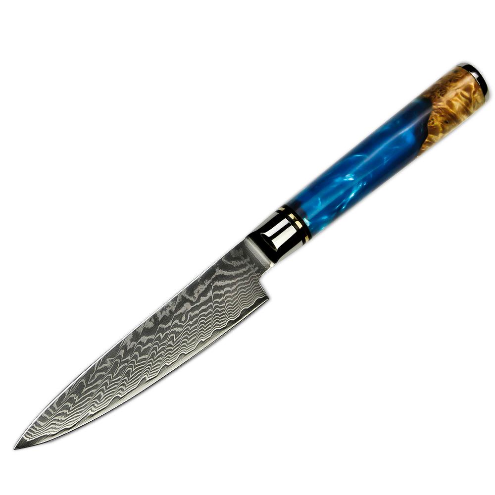 Amber Hot Selling 67-Layer Damascus Steel Kitchen Chef Knife Set Super Sharp Blade 10Cr15CoMoV Core with Resin & Wood Handle