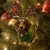 Decorazioni Festive per la Casa 2026 Calendario dell'Avvento Bassotto, 24 Giorni Sorprese Collezionabili Cane con Ornamenti da Appendere per Albero di Natale Cucciolo Figure Acriliche