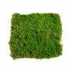 Artificial Lichen Panel Looking Mat Dense Faux Grass for Event Planners, Retailers,