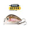 Limited Special Offer 3cm 1.5g Floating Wobblers for Bass Crankbaits Fishing Lure