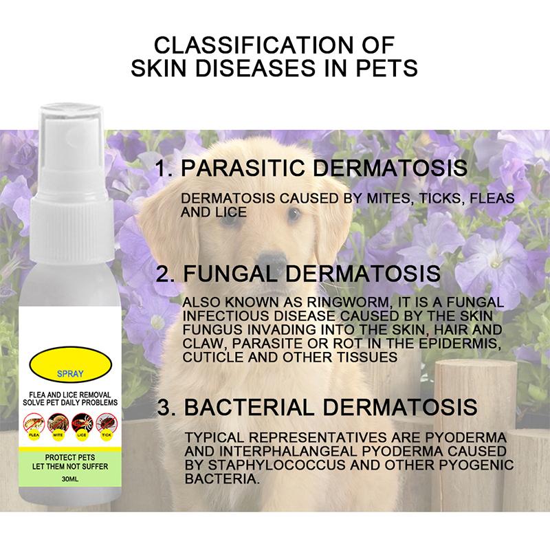 affordable flea and tick control