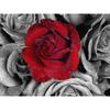Pittura diamante 5D fai da te vaso rose diamante arte mosaico diamante ricamo trapano rotondo completo decorazione della casa