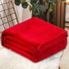 Soft and Warm Coral Fleece Blanket for Autumn and Winter