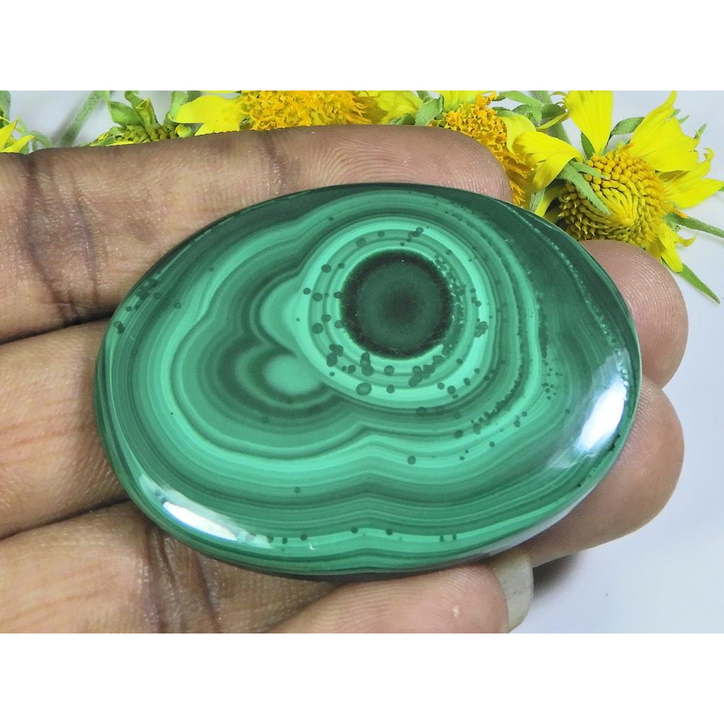 AA++ 141Cts. Natural Green Malachite Oval Cabochon Loose Gemstone 39X52X04MM D-47
